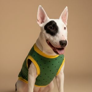 Camiseta para perro divertida - El amor todo lo huele